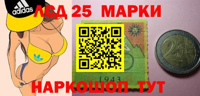 ГАЛЛЮЦИНОГЕННЫЕ ГРИБЫ Сланцы