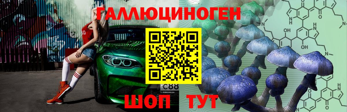 Псилоцибиновые грибы MAGIC MUSHROOMS  купить   Похвистнево  Вход с VPN 
